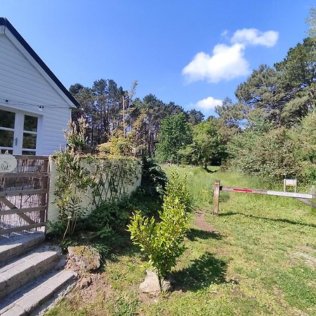 Chalet Cosy, Plages A Pieds. Morbihan. Plouhinec  Extérieur photo