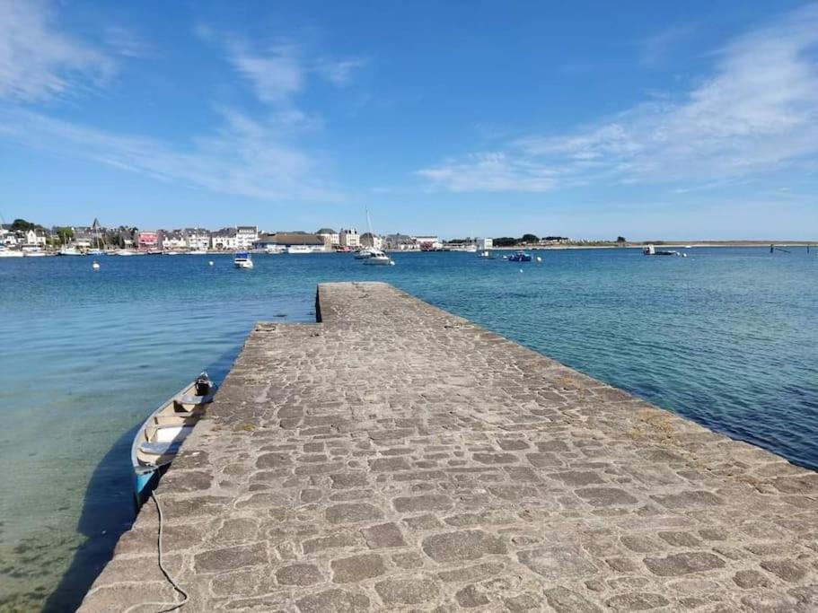 Chalet Cosy, Plages A Pieds. Morbihan. Plouhinec  Extérieur photo